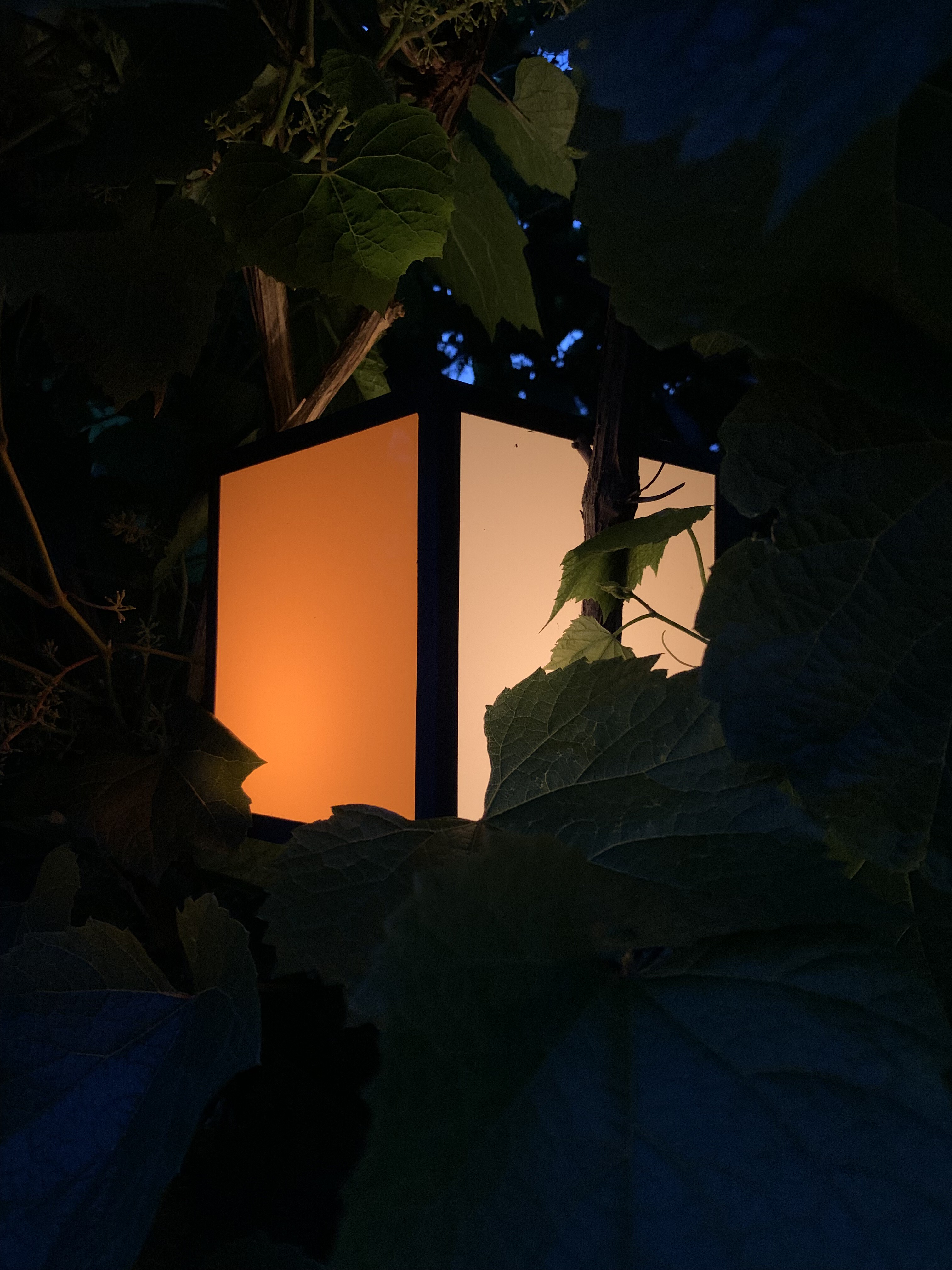 clasetta – light for life